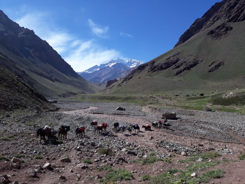 Mendoza: Mt. Aconcagua Confluencia Camp Trekking - Inclusions and Exclusions