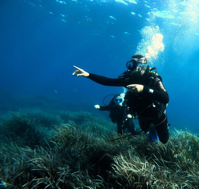 Menorca: Try Scuba Diving in Calan Bosch - Dive Experience