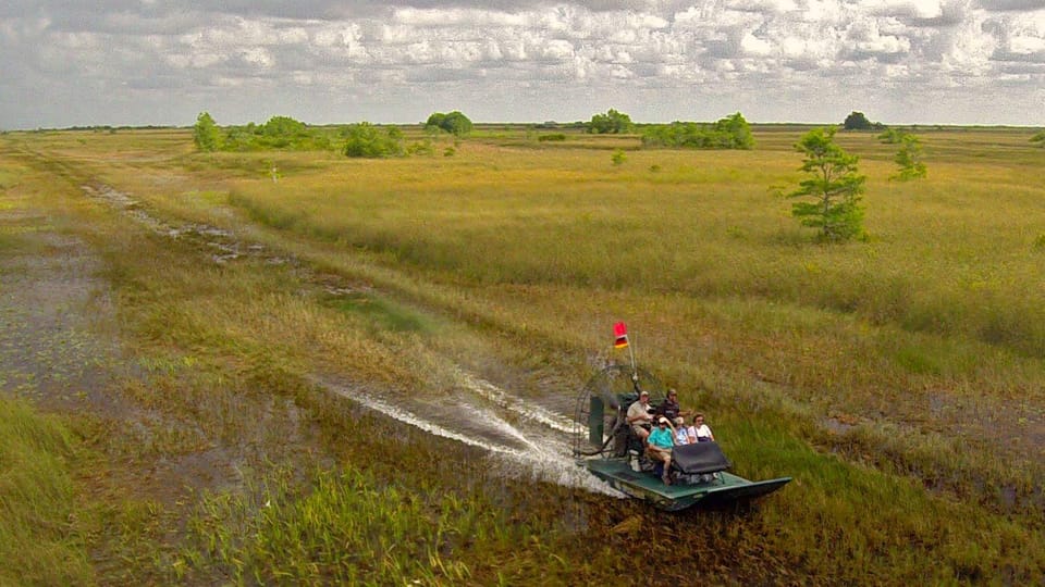 Miami: 60 Min Airboat, Transfer and Wildlife Sanctuary - Wildlife and Ecosystem