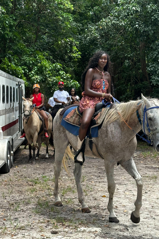 Miami: Horseback Riding in South Beach - What to Expect During the Ride