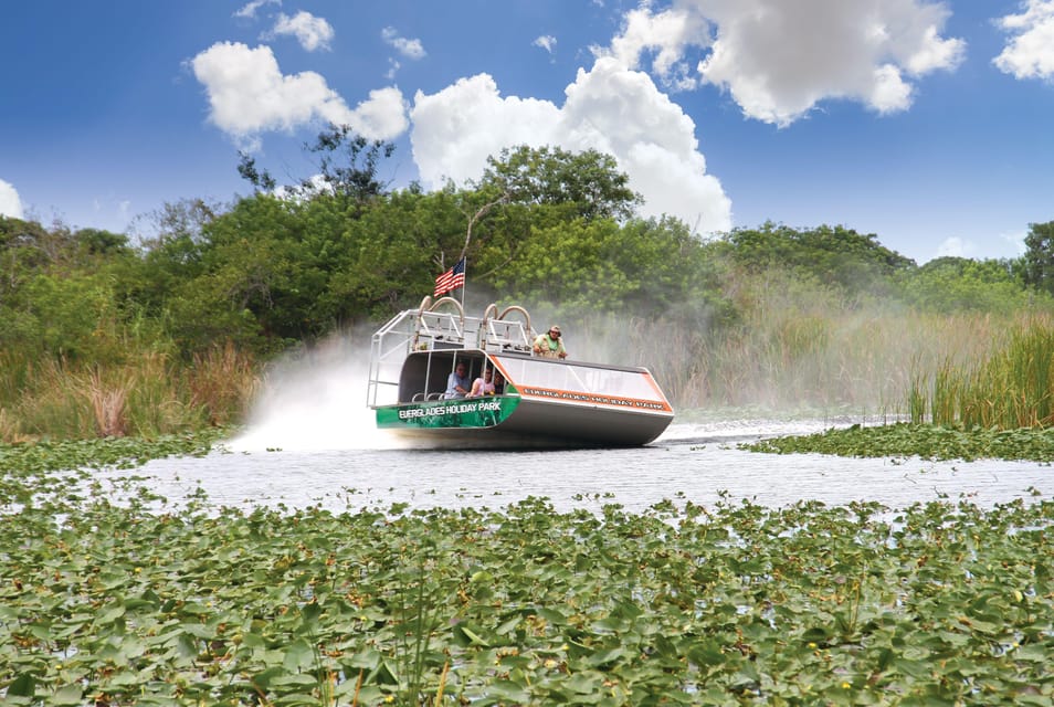 Miami: Wild Everglades Airboat Ride and Gator Encounters - Wildlife Encounters