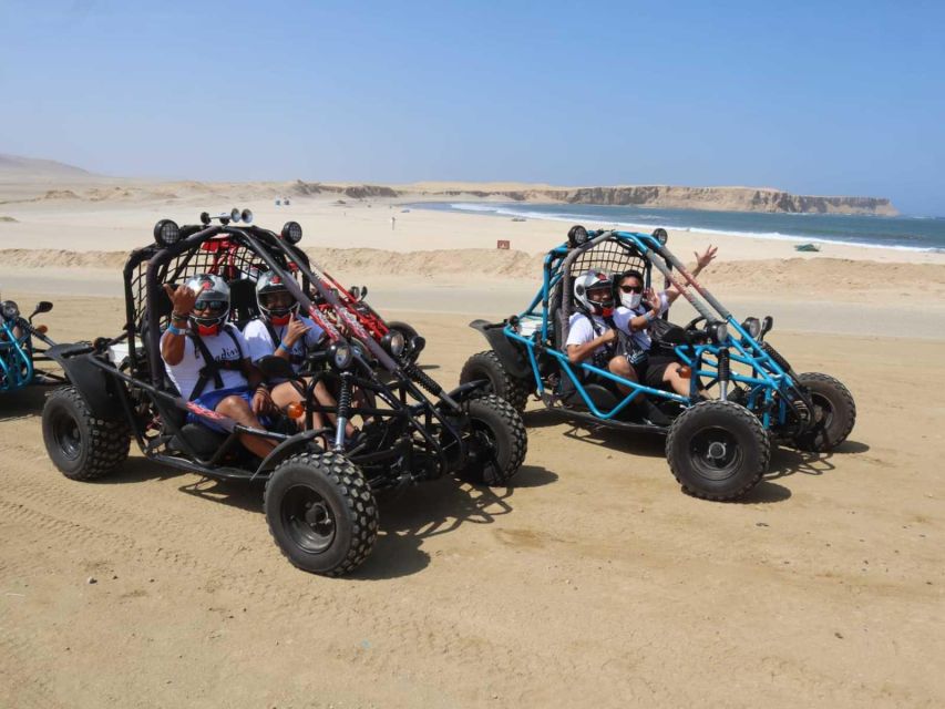 Minibuggy Adventure and Visit to the Paracas Reserve - Itinerary Highlights