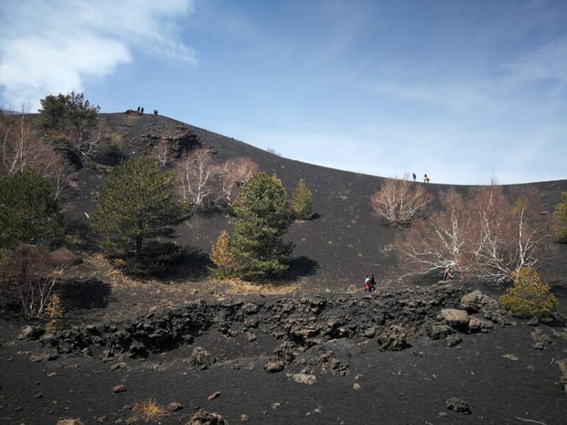 Minivan Tour From Siracusa to Mount Etna - Experience Highlights