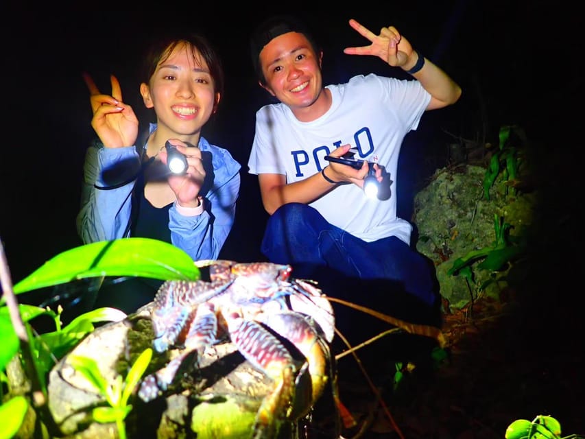 Miyako Island: Stars & Jungle Night Walking Tour - Nocturnal Creatures to Discover