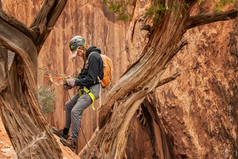 Moab: Fins and Things Canyoneering Adventure Tour - Experience the Canyoneering Trip