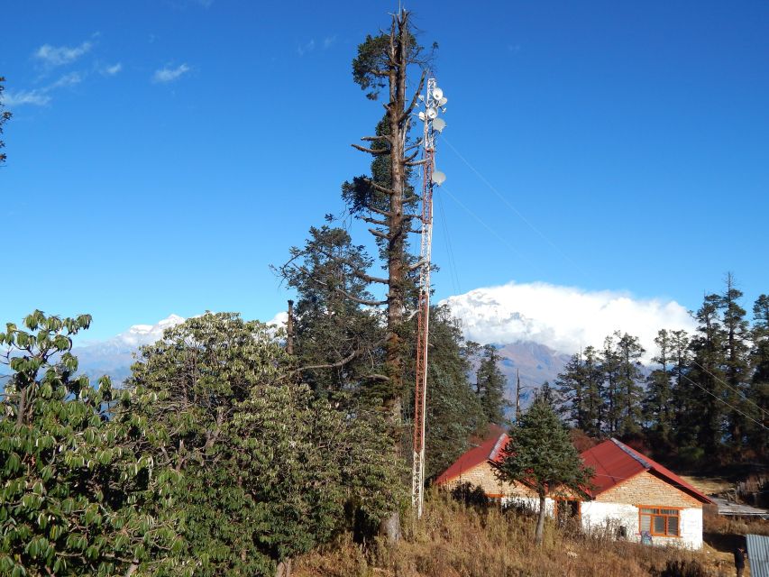 Mohare Danda: Majestic 6-days Trek - Scenic Highlights