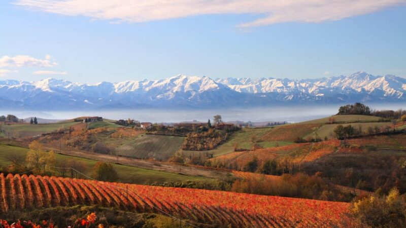 Monforte D'alba: Immersive Tour in a Family Run Winery - Wine and Culinary Highlights
