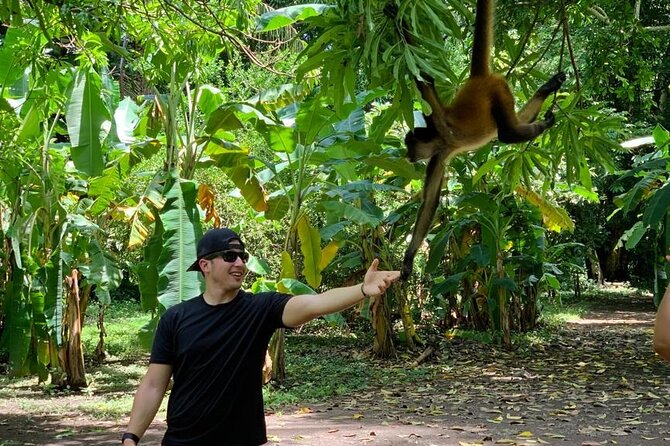 Monkey Sanctuary Reserve + Kayaking at Bahía De Jiquilisco + Lunch Included - Ideal for Nature Lovers