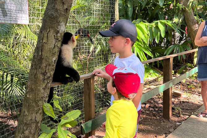 Monkey/Sloth Park + Zipline And City Tour In Roatan - Customer Feedback and Ratings