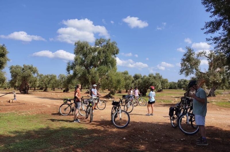 Monopoli Countryside Bike Tour - Tour Inclusions