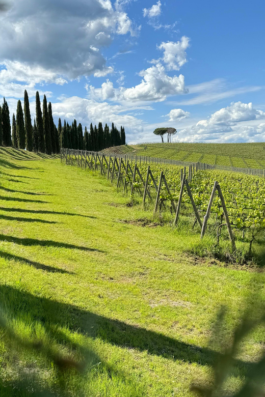 Montalcino:Unique E-Bike Experience Discovering Orcia Valley - E-Bike Specifications