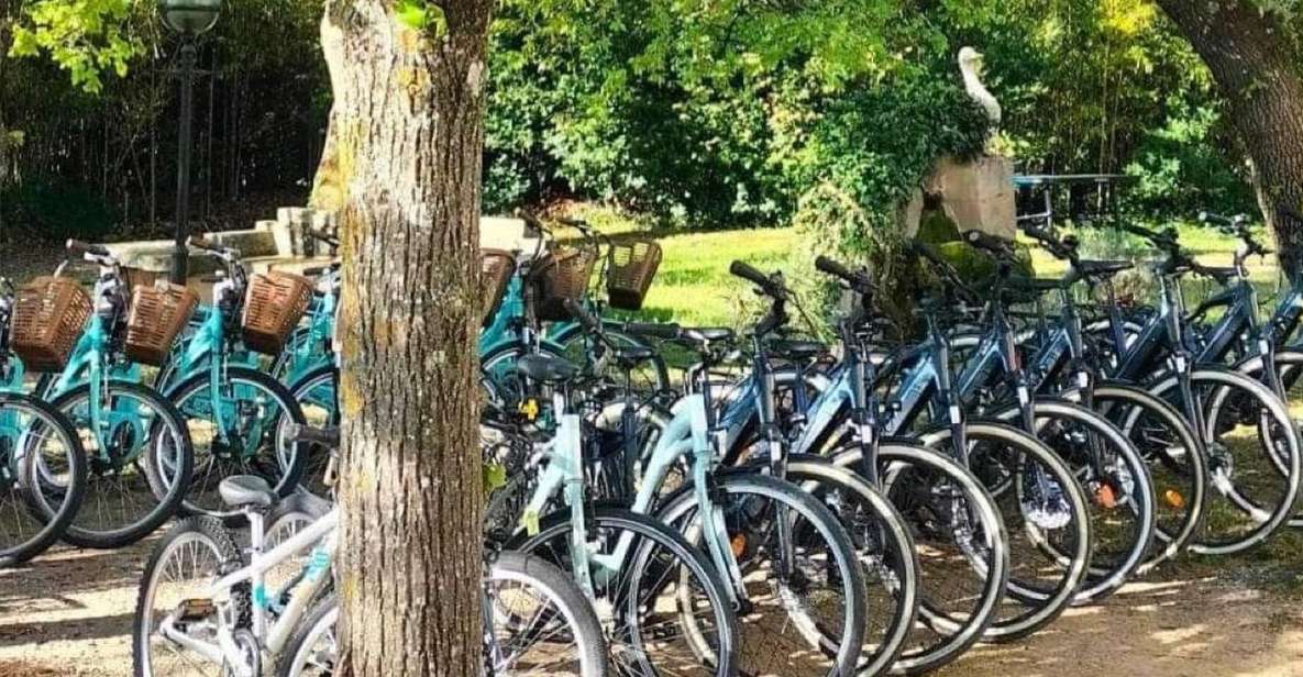 Monteux: Bike Rental - Bike Rental Options