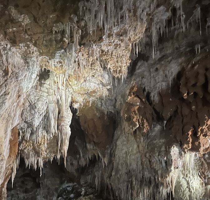 Montpellier:Half-Day Terrasses Du Larzac Wine and Grotto - Highlights of the Tour
