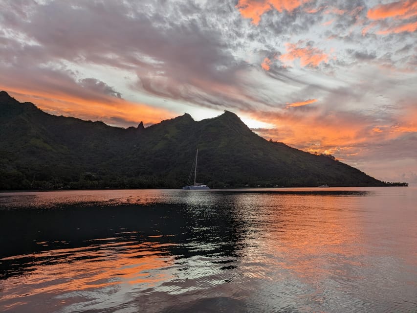 Moorea: Whale Watching & Sailing - Inclusions and Exclusions