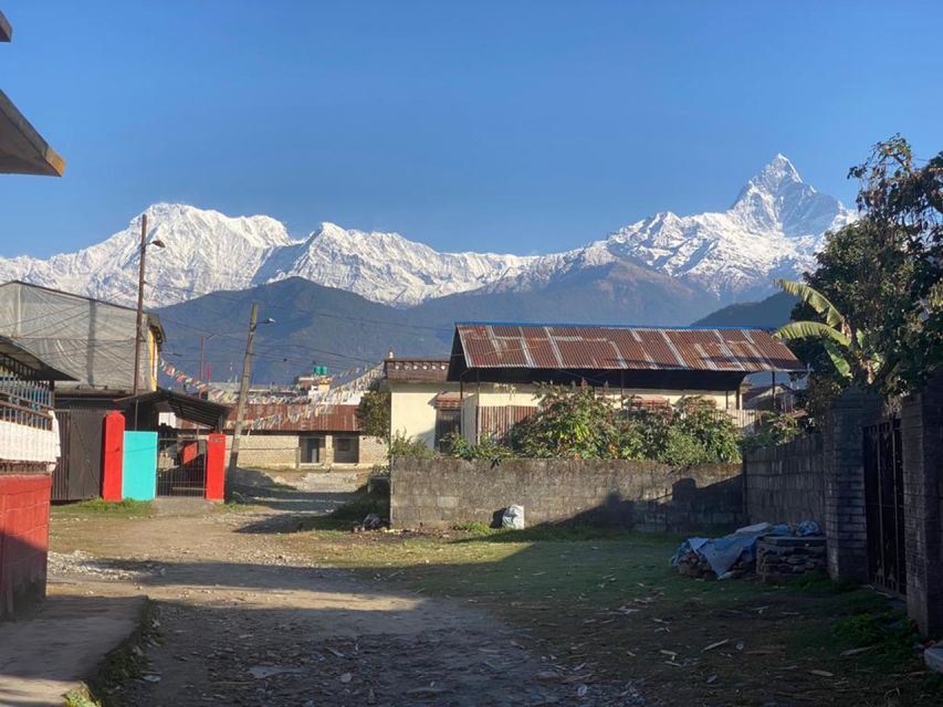 Morning Half Day Tibetan Cultural Tour - Cultural Experience