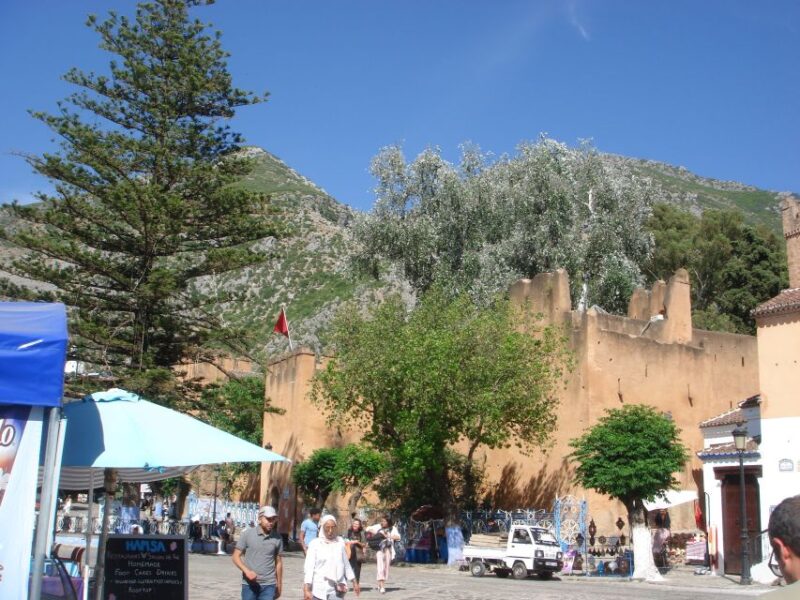 Morocco Day Trip With Tour Guide and Lunch From Algeciras - Transportation Details