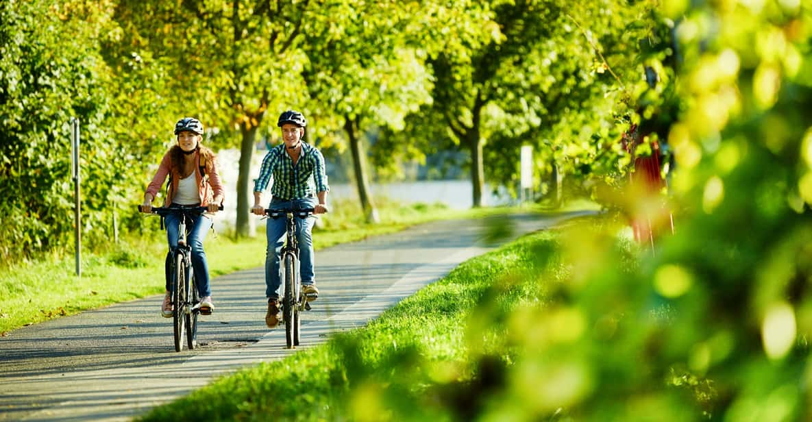 Mosel: Bike and Boat Tour With Picnic and Wine Tasting - Bike Ride Experience