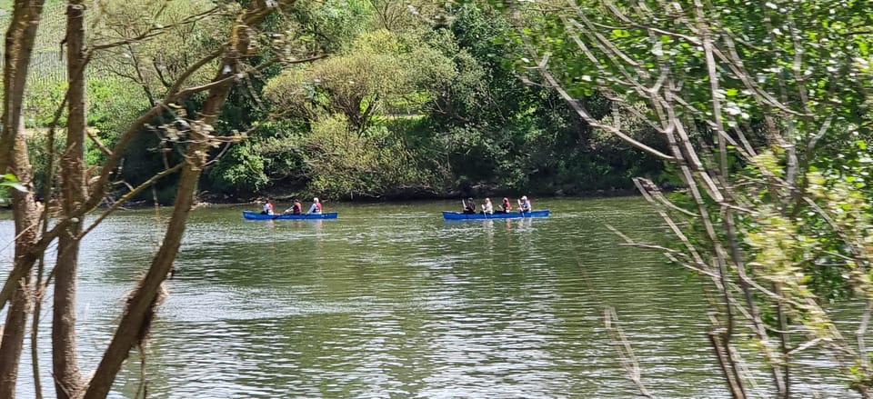 Mosel Canoe Tour Traben-Trarbach to Zell 18km/4-8 Hours - Tour Highlights