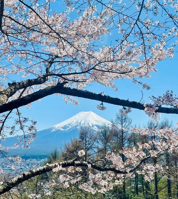 Mount Fuji and Lake Kawaguchiko With Pick-Up & Drop-Off - Included Services