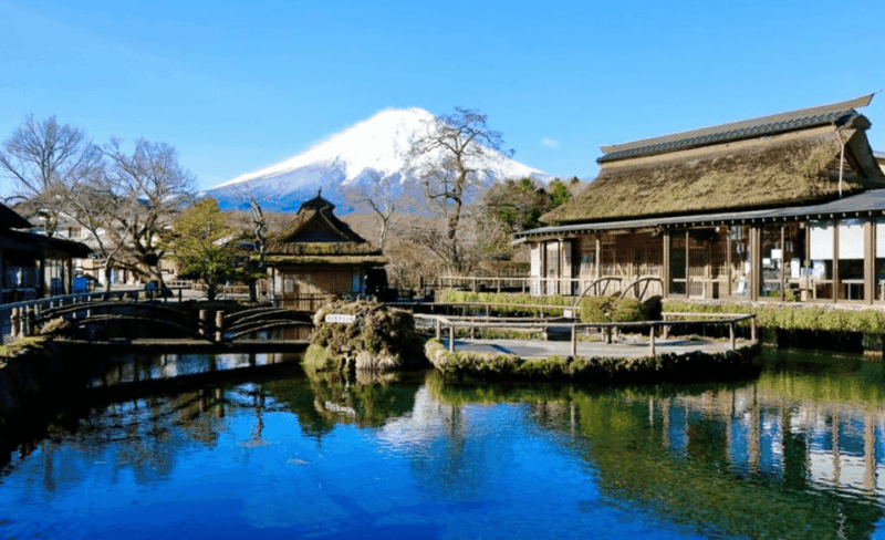 Mount Fuji Day Tour With English Speaking Guide - Transportation Details