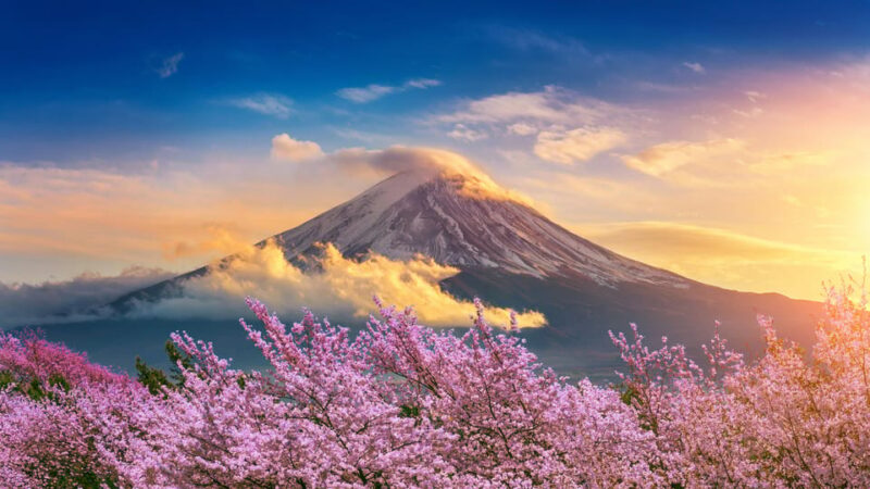 Mount Fuji: Exclusive Private Car Tour - Itinerary Highlights