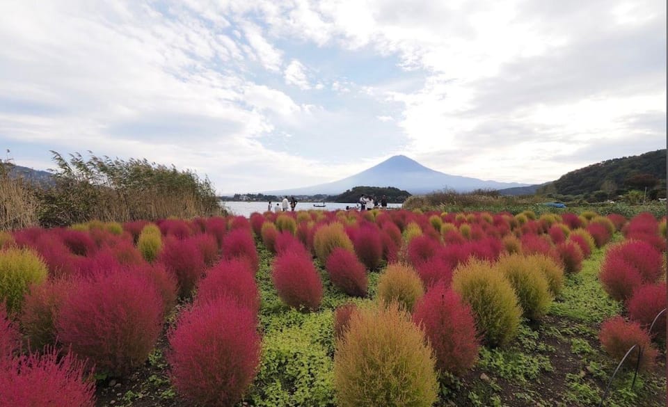 Mount Fuji Full Day Private Tour With English Speaking Guide - Important Tour Information