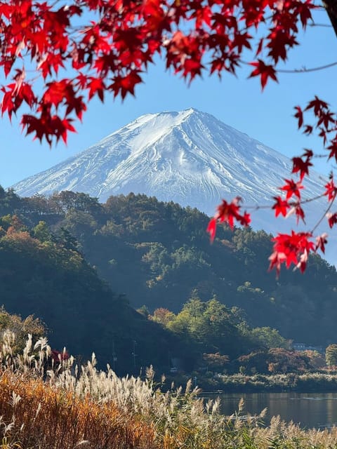 Mount Fuji Full Day Sightseeing Private Tour - Inclusions and Restrictions