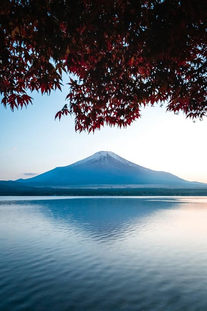 Mount Fuji & Hakone Tour - Accessibility Features