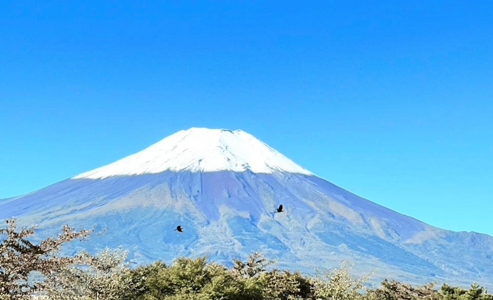 Mount Fuji Sightseeing Private Tour English Speaking Driver - Accessibility Features