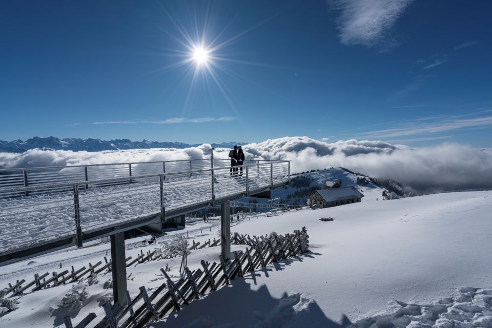 Mount Rigi: Day Pass - Seasonal Activity Highlights