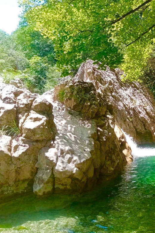 Mountain Train Experience Hiking & Mystic Forest (From Nice) - Scenic Train Journey