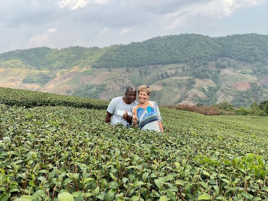 Mountains Discovery:Doi Mae Salong & Doi Tung (Private Tour) - Cultural and Historical Significance