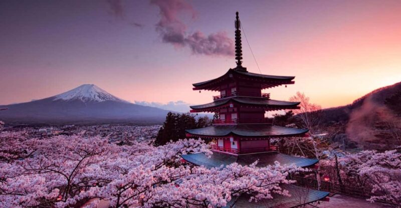 Mt Fuji Tour With Experienced English Driver - Transportation and Amenities