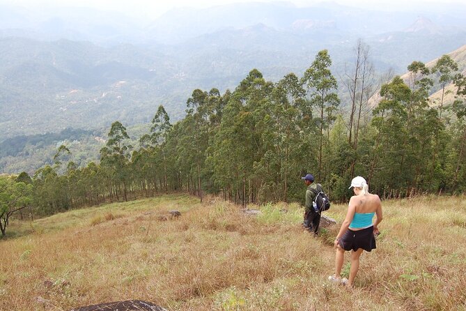 Munnar Letchmi Hills Trekking - Local Flora and Fauna