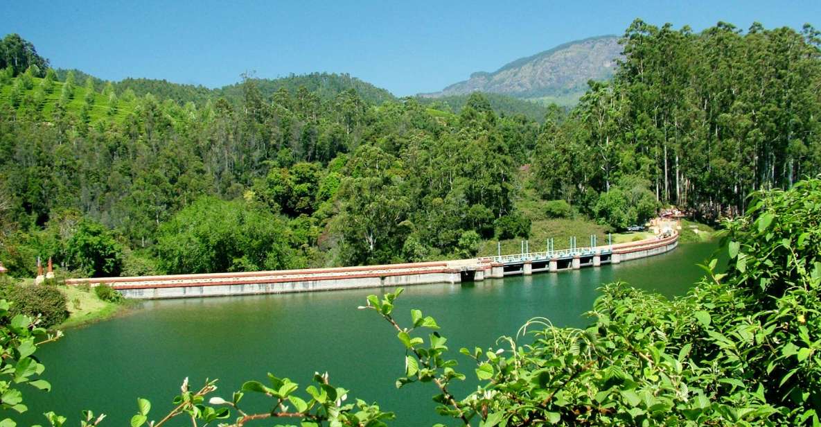 Munnar Site-Seeing Tour - Daily Itinerary Details