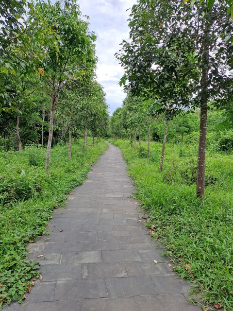 My Son Sanctuary - Early Start Half Day Trip - Historical Significance