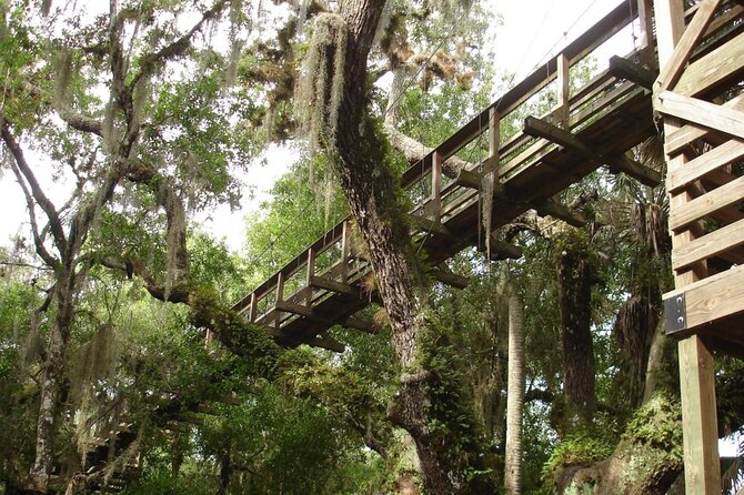 Myakka State Park E-bike Safari - Guided Experience Highlights