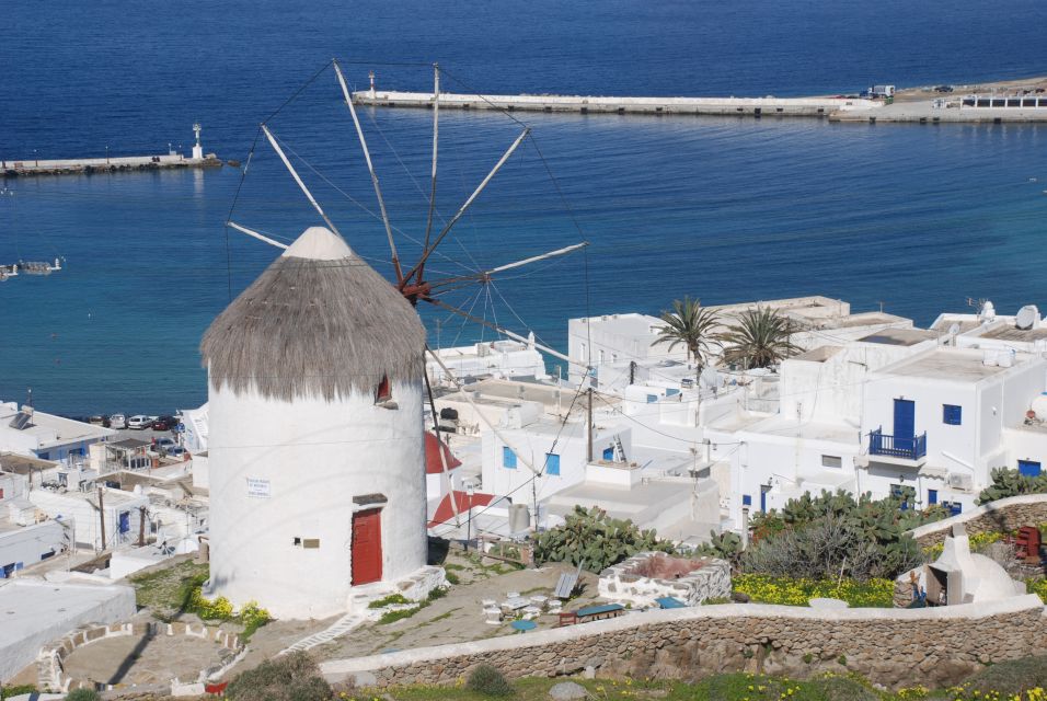 Mykonos: Half-Day City Walking Tour and Island Bus Tour - Inclusions and Meeting Point