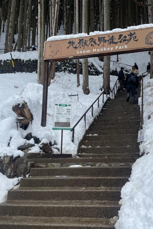 Nagano: Snow Monkey Park, Zenkoji One Day Private Tour - Travel Details