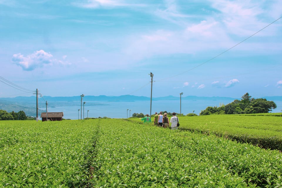 Nagasaki: Explore Japanese Teas on a Tea Tour - Inclusions