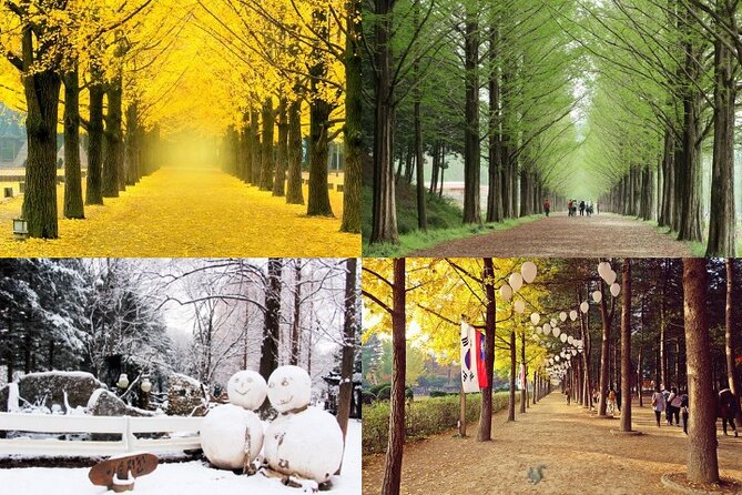 Nami Island & Petite France With Italian Village One-Day Tour - Exploring Petite France