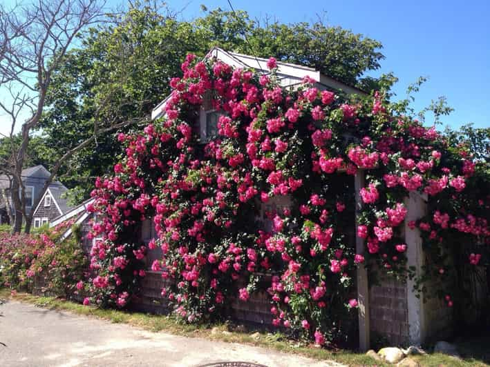 Nantucket: Historical Landmarks Sightseeing Bus Tour - Tour Experience