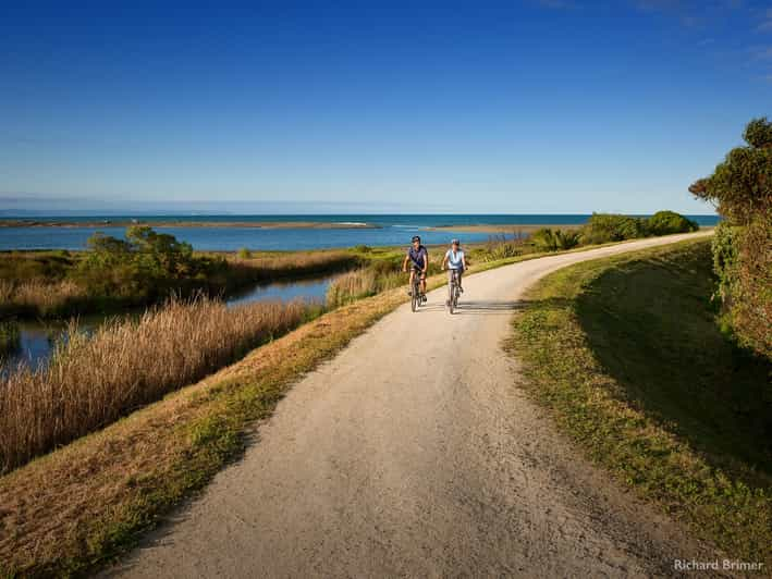 Napier: Cape Coast Winery Tour on Pedal or E-Bikes - Route and Scenery