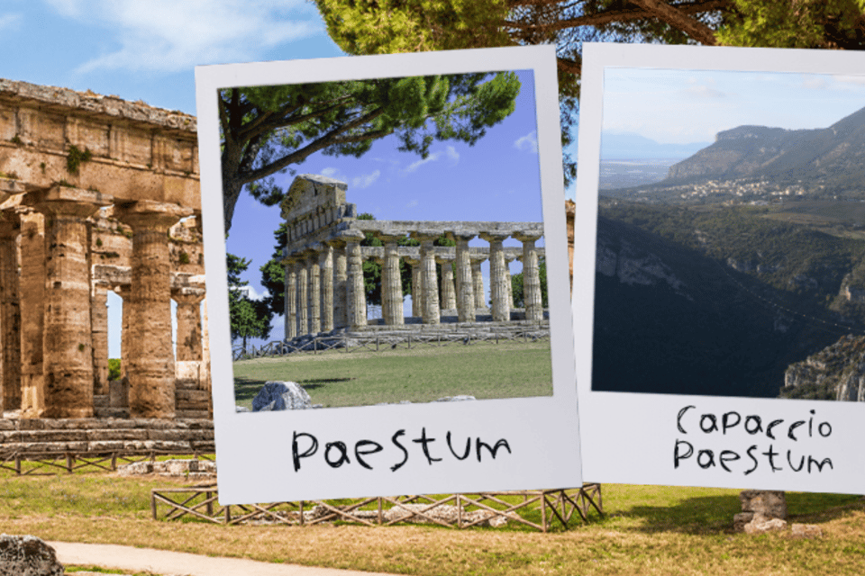 Naples: Train+Bus Link From/To Paestum Archaeological Museum - Departure and Arrival