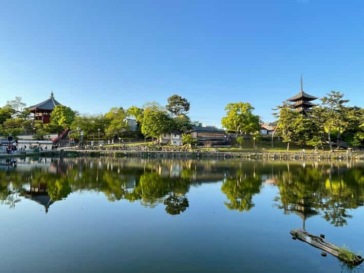 Nara: 1 Day Local Guide– Big Buddha, Deer, Shrine, Old Town - Tour Inclusions