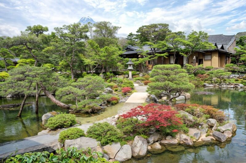 Nara Private Tour With English-Speaking Driver - Customer Reviews
