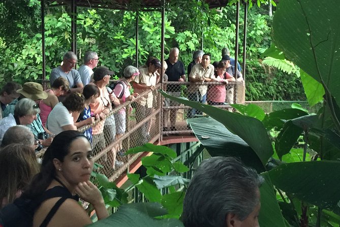 Natura Eco Park Costa Rica - Plus Admission, Wildlife Sanctuary - Visitor Reviews and Ratings