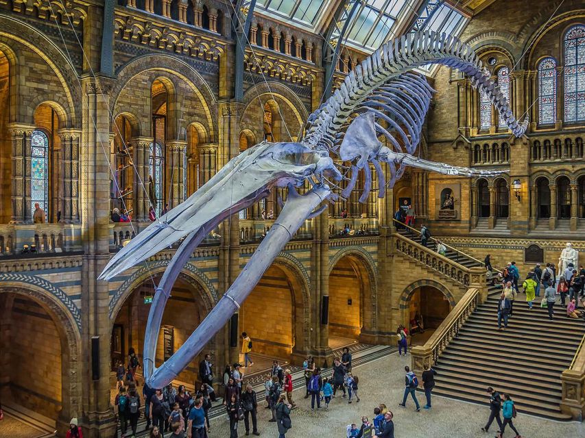 Natural Museum: Butterflies, Gems, Dinosaurs Explored - Guided Tour Details