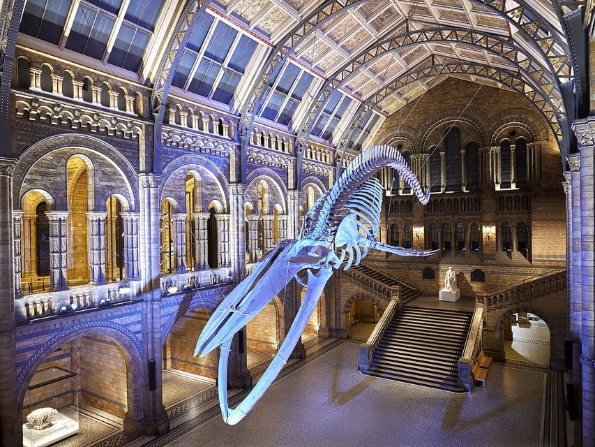 Natural Museum: Diplodocus, Volcanoes, Whale, and Gems - Expert-Led Experience