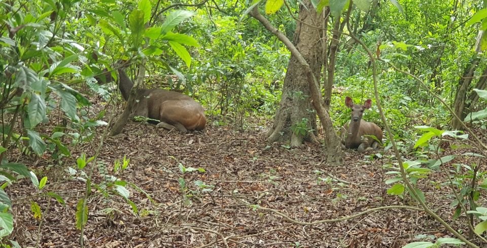 Nature Jungle Safari in Chitwan National Park 2 Night 3 Days - Unique Cultural Experiences